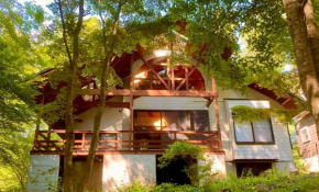 Yatsugatake Villa FOREST&DOG - Vacation STAY 53545v